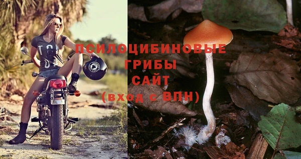 герыч Зерноград