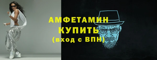 гидра Инсар
