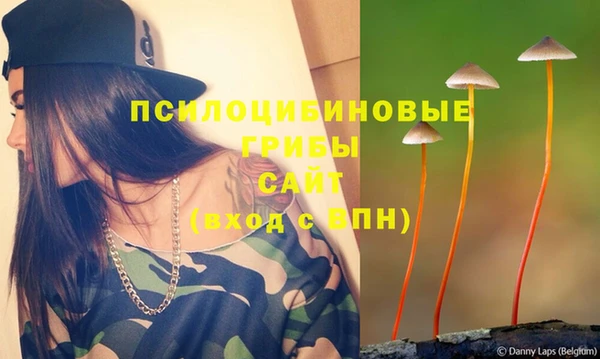 герыч Зерноград