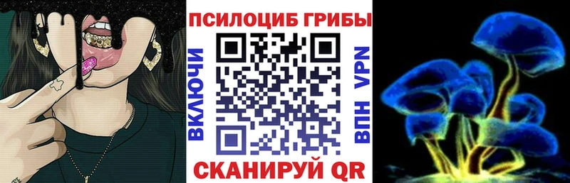Галлюциногенные грибы GOLDEN TEACHER Куровское